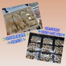 싱싱마트 | 아산하나로마트 이순신점 [수산물] 싱싱함에 반하고 온 리얼 방문 후기!