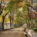 용천(안산) 이미지