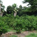 바다민박 이미지