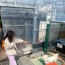 다은 농장 이미지