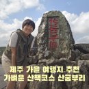 제주산굼부리분화구 | 제주 가을여행지 산굼부리 분화구 코스추천 구상나무길 억새길 포토존 후기