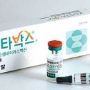분당로 이미지