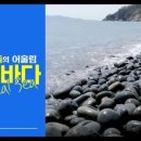 바다 어울림 이미지