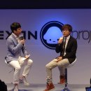 메이플(생활형) 이미지