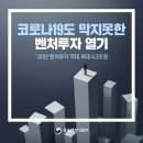 2020년 벤처투자 역대 최대 4.3조원
