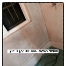 동의초등학교