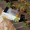 숲속 향기 작은도서관 이미지