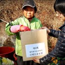 맘마농장 이미지