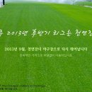 ＜천연잔디구장 빅사이팅양주 2013 후반기리그 잔여팀 모집, 10월 19일 천연잔디 시공 완료 !!!!!＞ 이미지