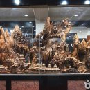 사립강원종합박물관 이미지