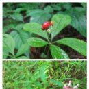 달무리농장 이미지