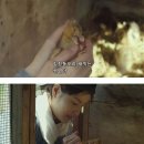 시골오리 이미지