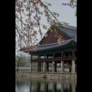 하늘고시원 - 은평구 진흥로 126 | 하늘고시원