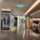 살롱드파피루스 이미지