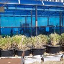 오서산상담마을 이미지