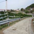 남해양옥 이미지