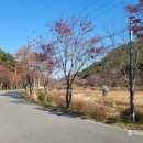 갈현목장 이미지