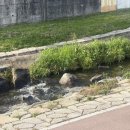 신읍4길 이미지