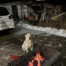 A Human Being 이미지