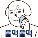 (주)드림에프엔씨 이미지