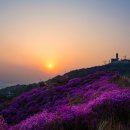 (구)공설운동장 앞 이미지