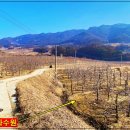 평수농장 이미지