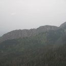 자코파네