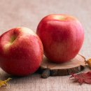 우리휘트니스 이미지