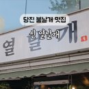 신열날개