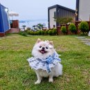 크라운목욕탕 이미지