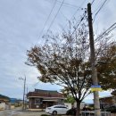 서근마을회관 이미지