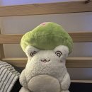 그것이 뽑고싶다 이미지