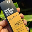 키위몬라이브 | 키위몬라이브 프로폴리스 스프레이 구강관리 꿀팁
