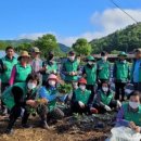 장양농장 이미지