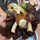 광주새마을식당 | [공지] [논산 고깃집] 새마을식당 논산 건양대점. 다녀온 후기!!