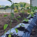 별빛담은마을 이미지