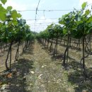 구룡부동산중개 이미지