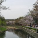 분당-153 이미지