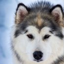 행복할 이유를 찾아드립니다 이미지