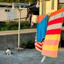 오고가고민박 이미지