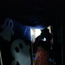 오감스토리 Daum카페