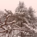 혜성 당구장 이미지