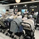 베이비하우스 광명점 이미지