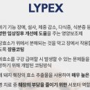 라이펙스 이미지