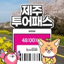 인간과허브 | 아트서커스-소색채본 카페 -산방산 유채꽃 -용머리해안- 제주투어패스 48시간 타임 제로 알찬 이용 후기