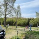 원수산 생태공원 공원입구 | 부산 대저생태공원 유채꽃 축제 애견동반 4월 부산 가볼만한곳 추천