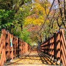 대청호 오백리길 5구간 [백골산성 낭만길]