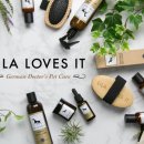 은아덴탈 이미지