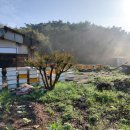 시일농장 이미지