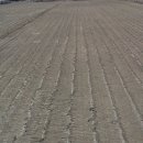 잔디 농장 이미지